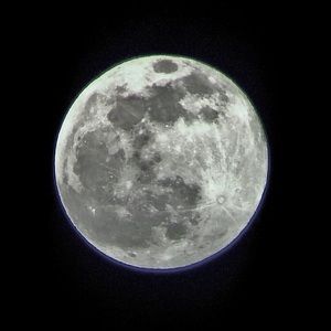 Meet your Posher, Cheyenne